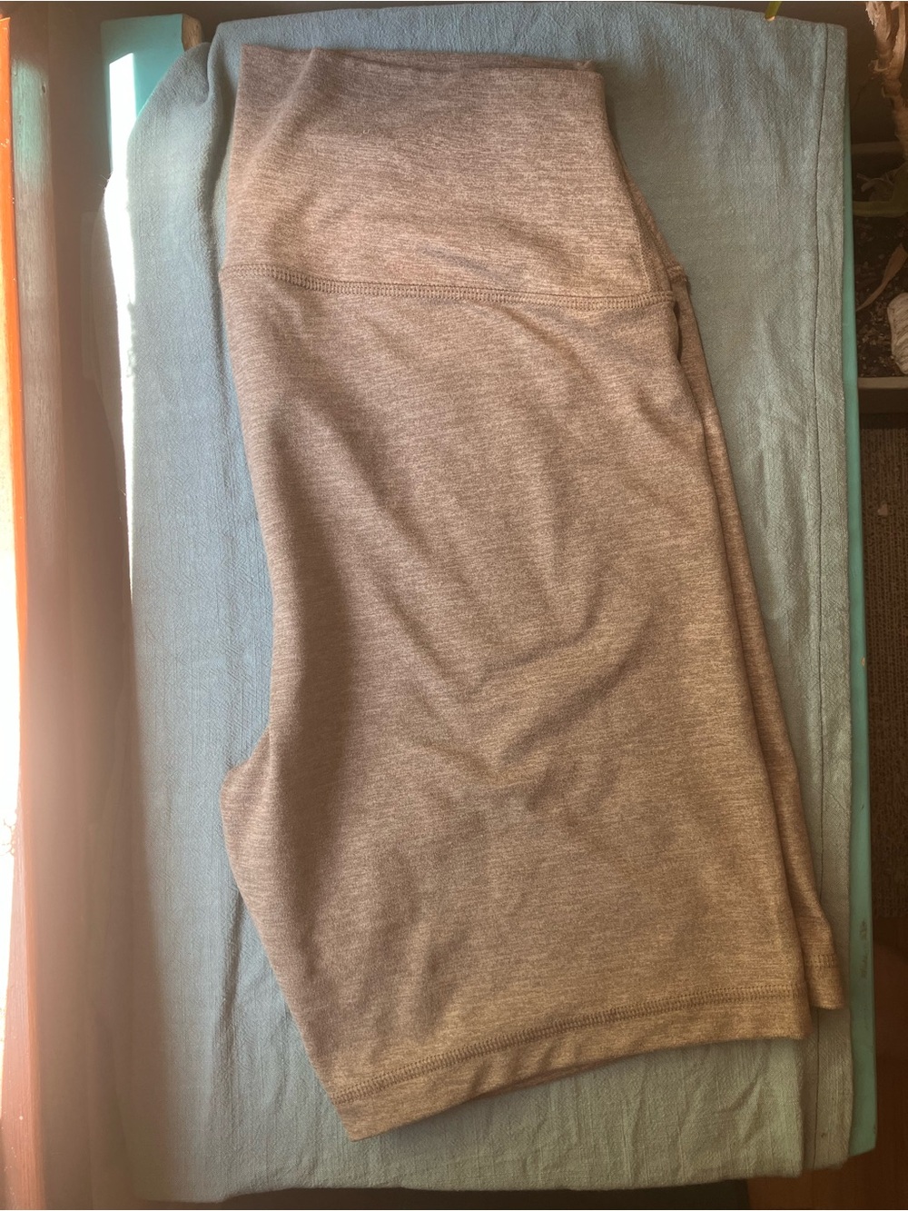 Quince Ultra-Soft Bike Short Women XL